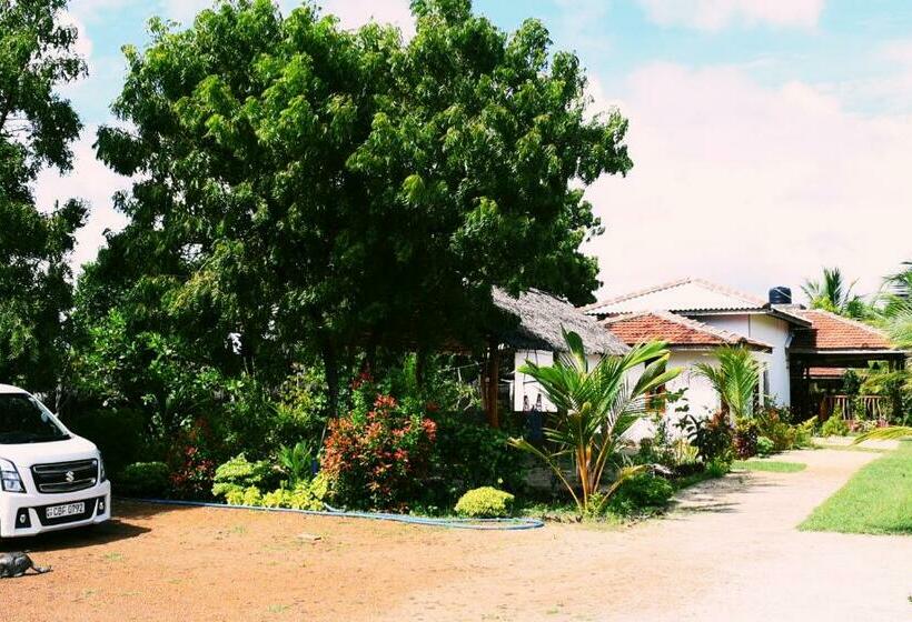 渡假胜地  Prime Surfers Bungalow