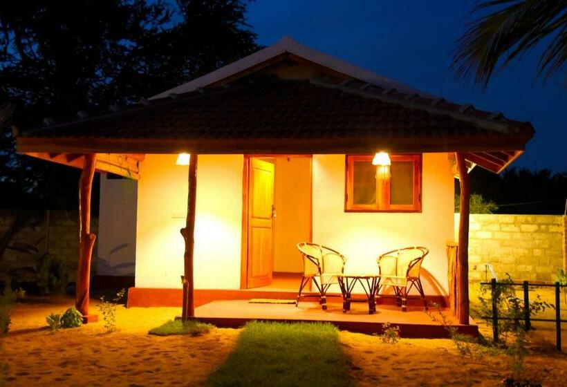 渡假胜地  Prime Surfers Bungalow