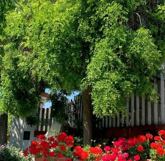 B & B Villa Fiorella