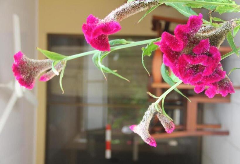 Centro Vacacional Bancosta