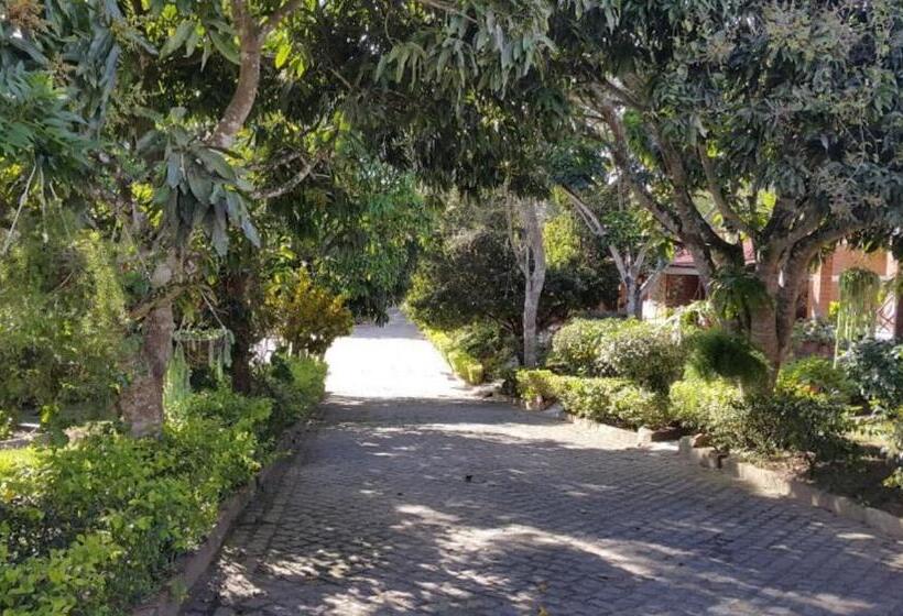 Отель Fazenda Alvorada