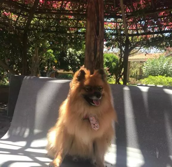 Hotelli Fazenda Alvorada