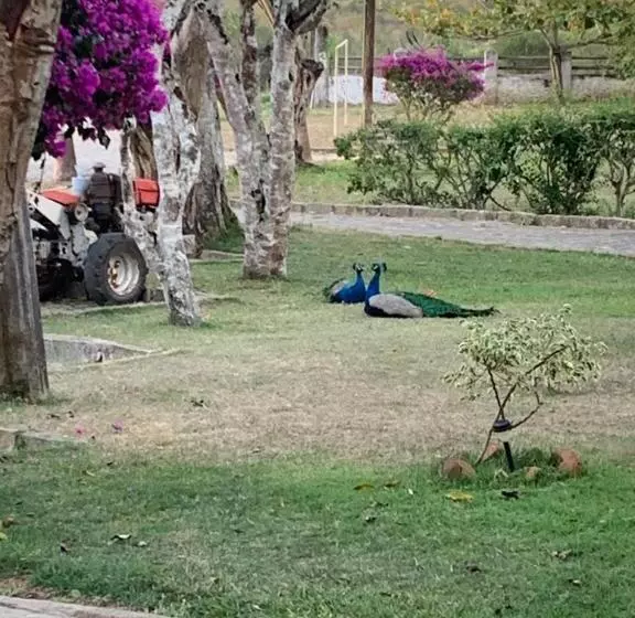 Hotelli Fazenda Alvorada