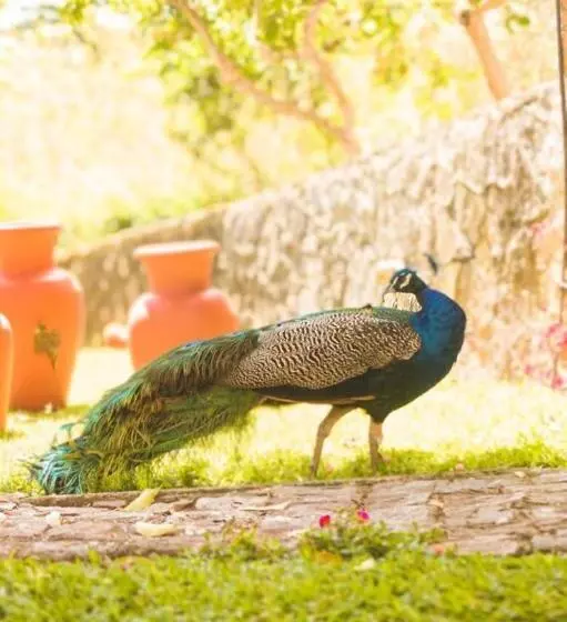 Hotelli Fazenda Alvorada