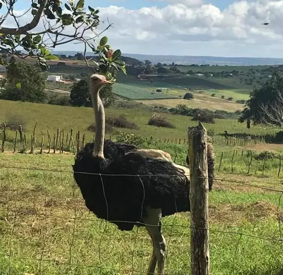 Hotelli Fazenda Alvorada