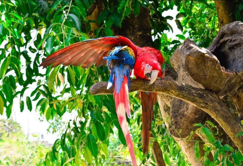 Отель Fazenda Alvorada