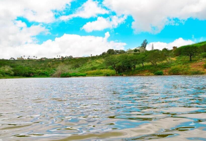 Отель Fazenda Alvorada