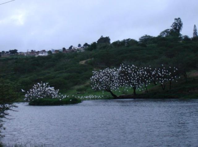 Отель Fazenda Alvorada