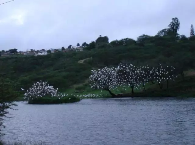 Hotelli Fazenda Alvorada