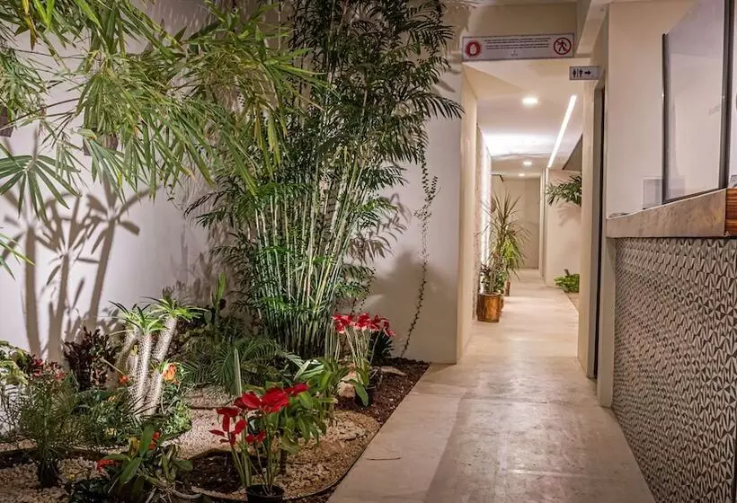 Moonshine Tulum Hotel & Hostel