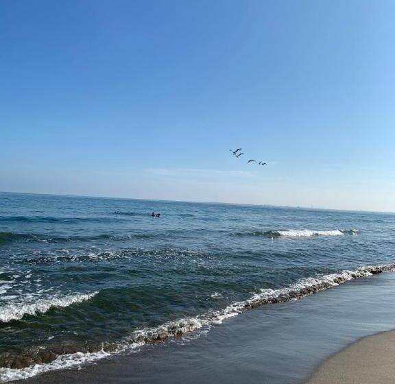 هتل Viña Del Mar Omoa