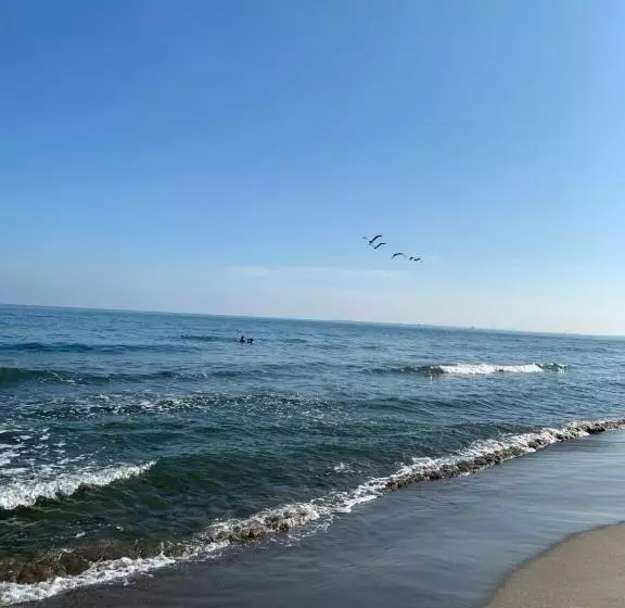 هتل Viña Del Mar Omoa