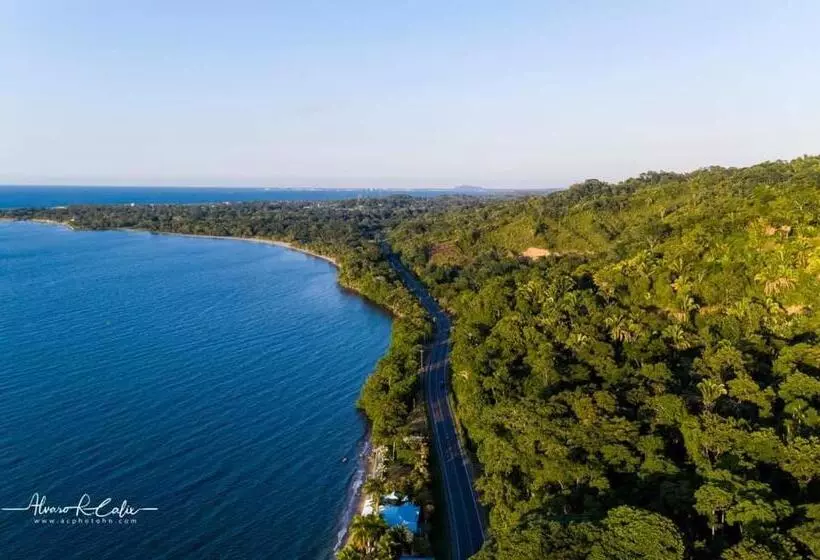 هتل Viña Del Mar Omoa