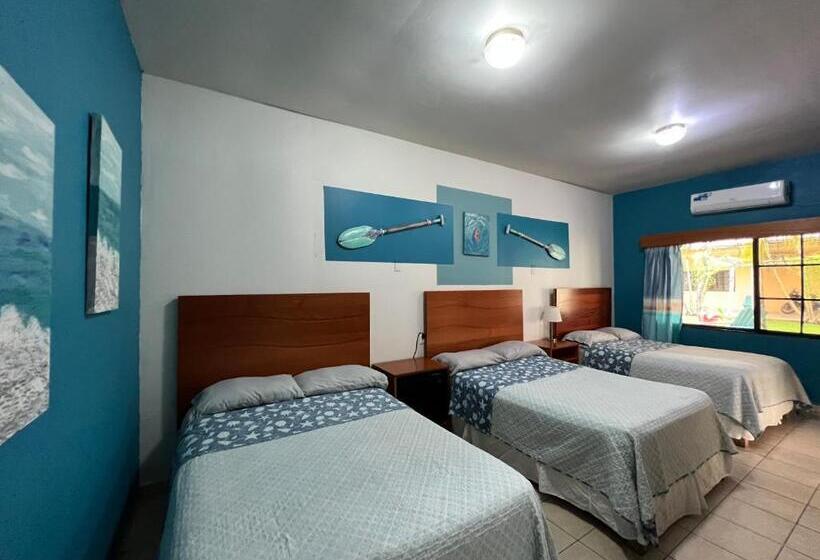 هتل Viña Del Mar Omoa