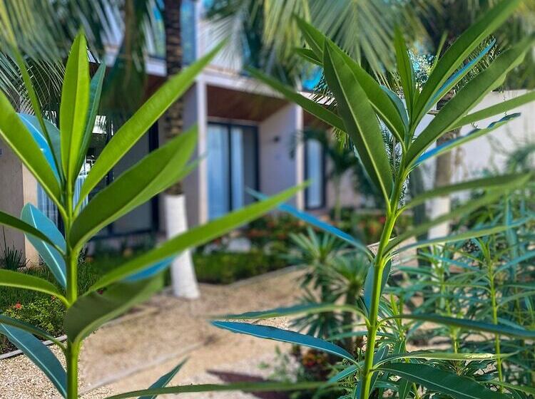 Moonshine Tulum Hotel & Hostel