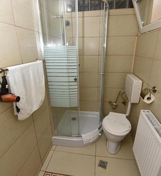 ペンション Casa Tudor