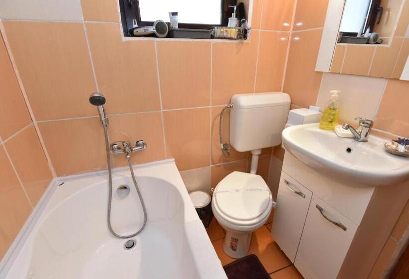 ペンション Casa Tudor