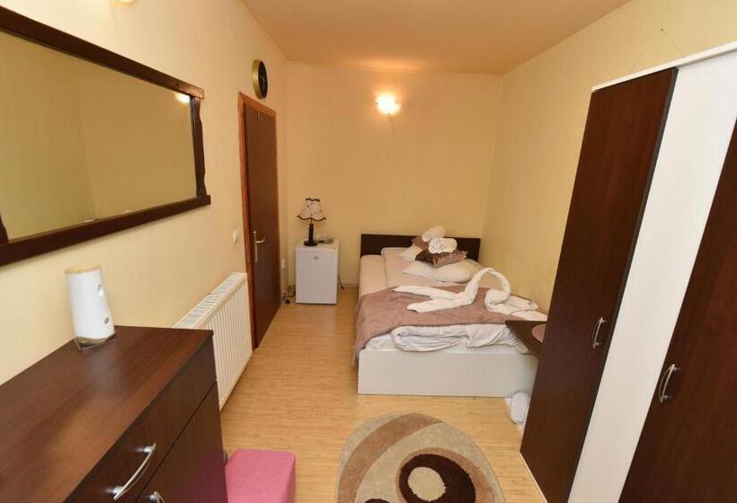 ペンション Casa Tudor