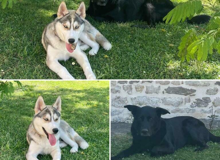 住宿加早餐  Logis De Pierre Levée