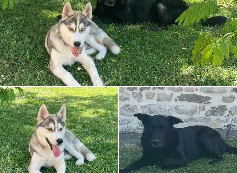 Aamiaismajoitus (B&B) Logis De Pierre Levée