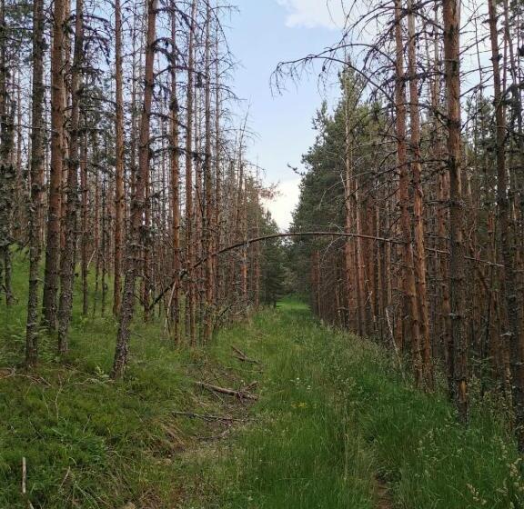 هتل Čarobni Breg