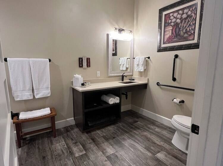 בית מלון כפרי Park