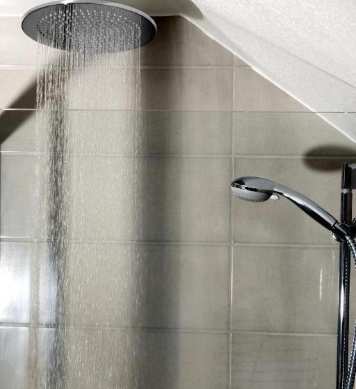 בית מלון כפרי Adler