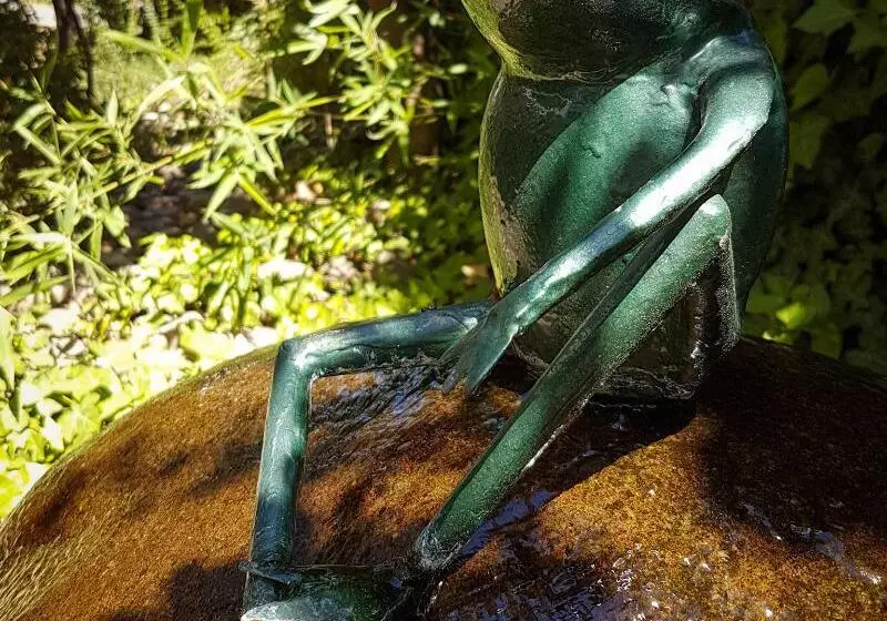 Astralis Hotel Domizil