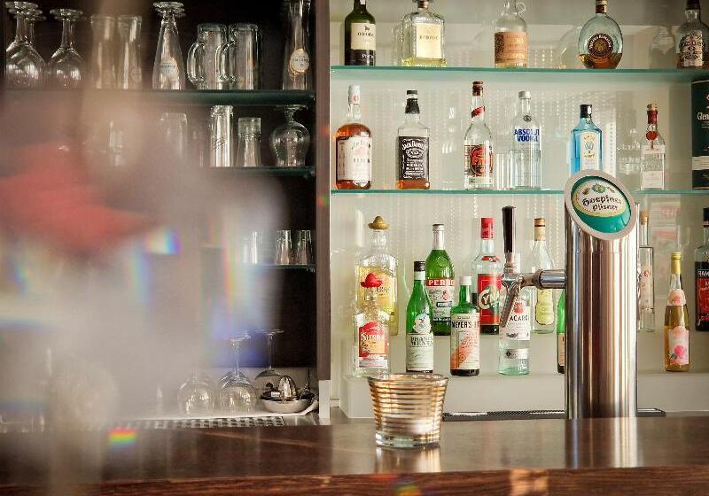 Astralis Hotel Domizil