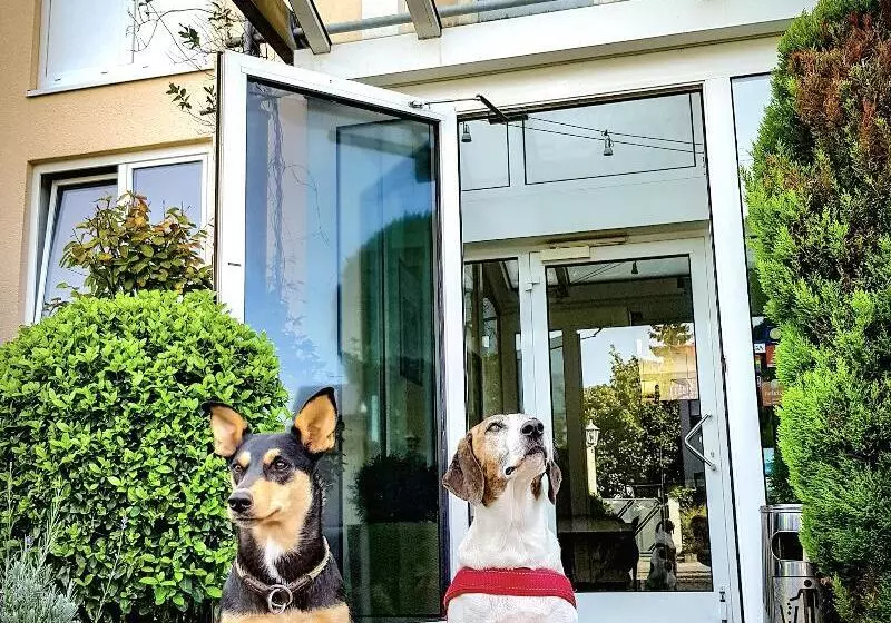 Astralis Hotel Domizil