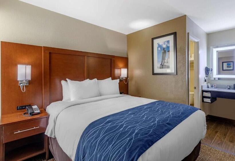 בית מלון כפרי Comfort Inn Nashville  Opryland Area
