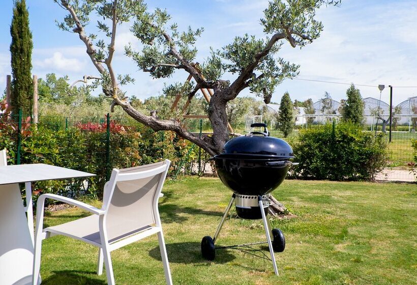 Bed and Breakfast San Francesco Relais