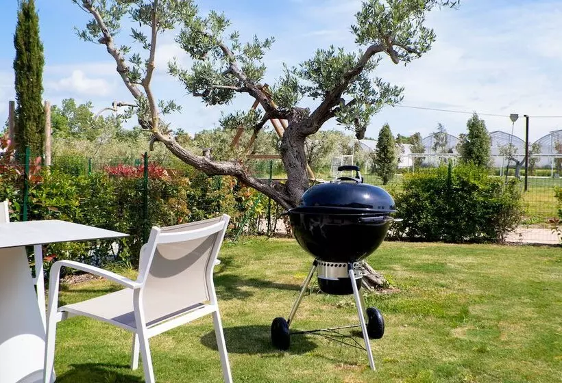 Aamiaismajoitus (B&B) San Francesco Relais