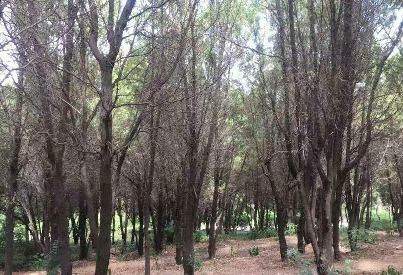 Hotel 7days Premium Qingdao Technology Street Branch