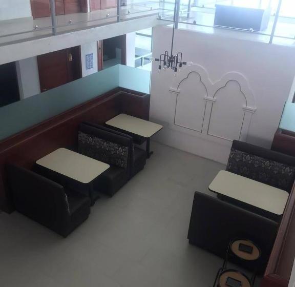 酒店 Malinalli Express