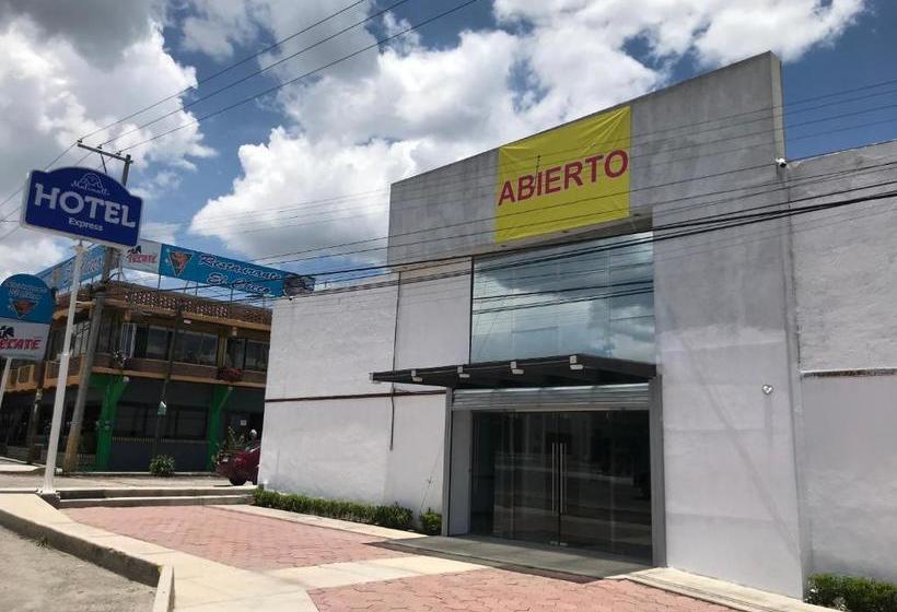 酒店 Malinalli Express