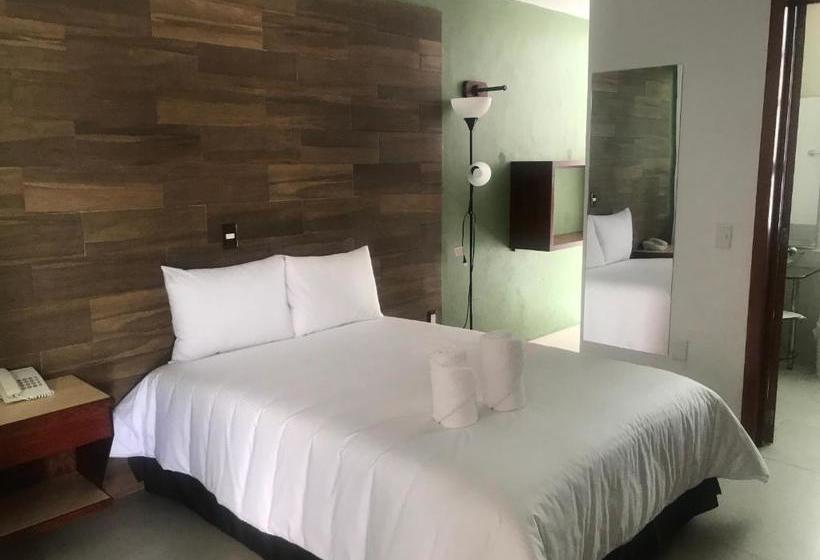 酒店 Malinalli Express