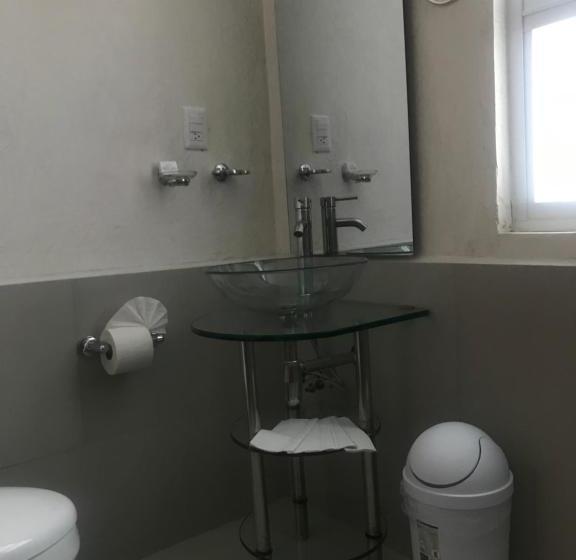 酒店 Malinalli Express