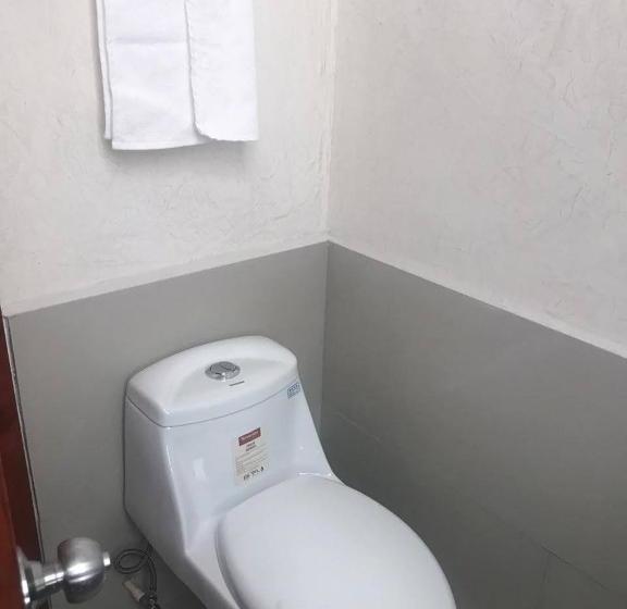 酒店 Malinalli Express