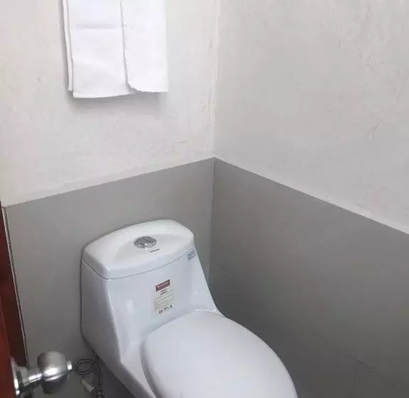 ホテル Malinalli Express