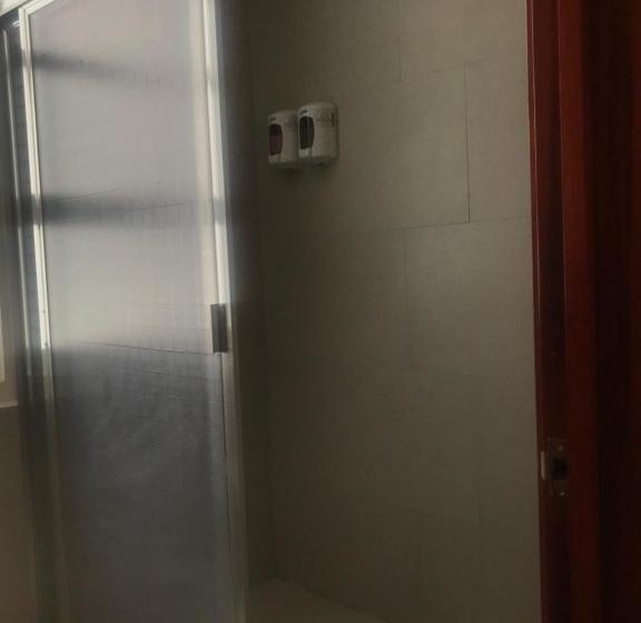 酒店 Malinalli Express