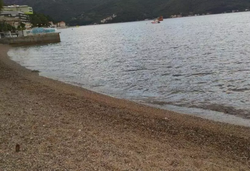 پانسیون Apartman Vukovic