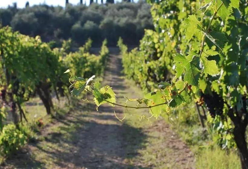ホテル Fattoria Di Mugnano