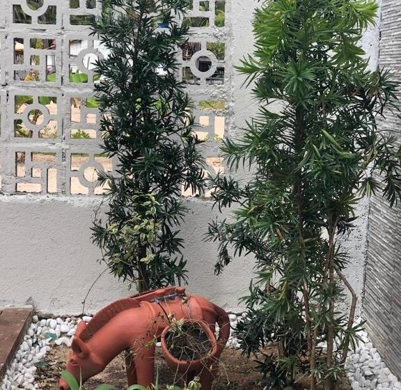 پانسیون Pousada Ecó Milagres   Praia