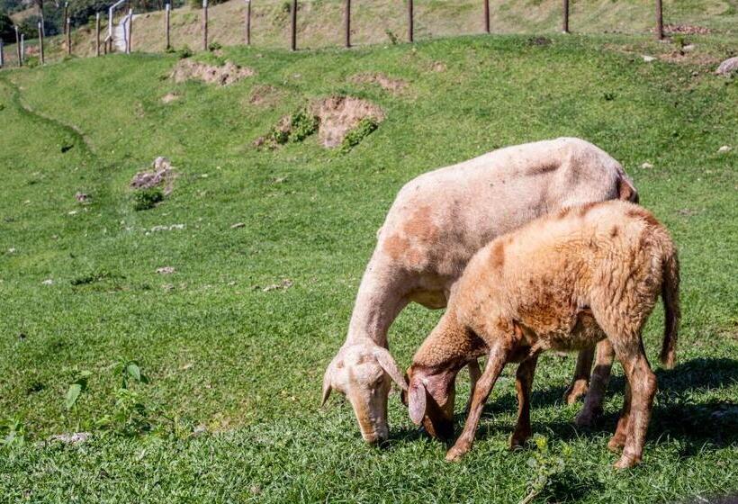 בית מלון כפרי Fazenda Canto Da Serra