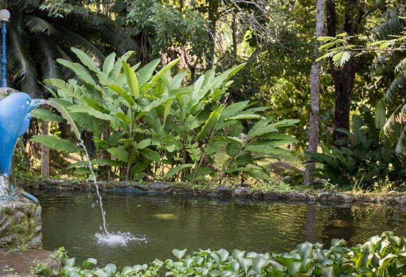 בית מלון כפרי Fazenda Canto Da Serra