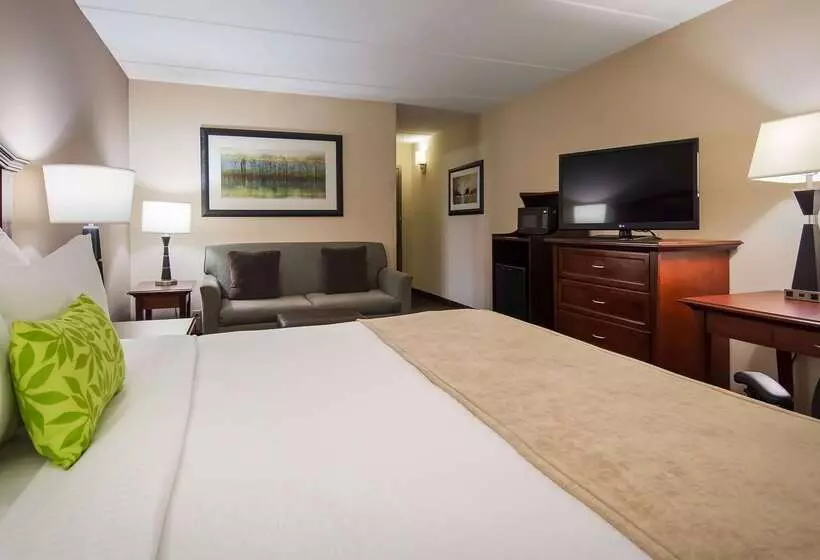 ホテル Best Western Plus Willmar