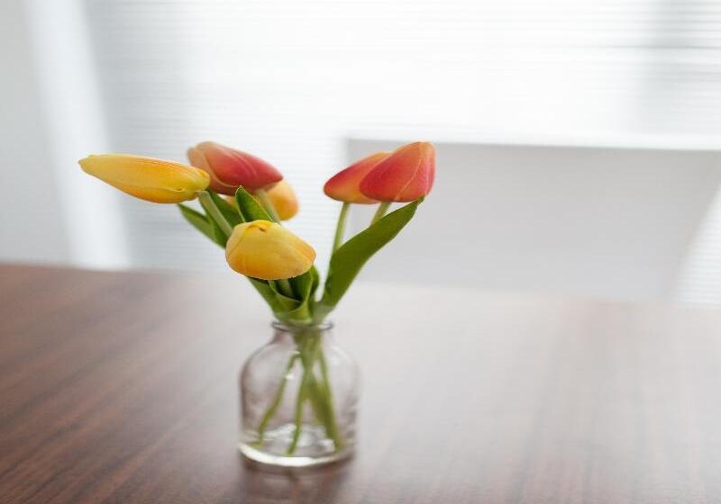 ホテル Easystay Studio Apartments