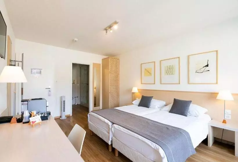 Отель Hôtel Des Arts