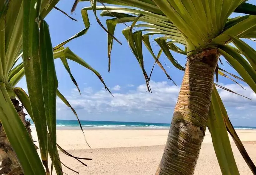 ホテル Paradiso Resort By Kingscliff Accommodation